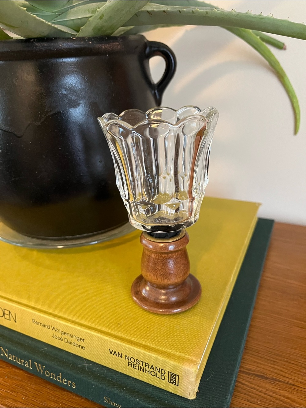 Glass Tulip Candle Holder with Wood Base - Clear